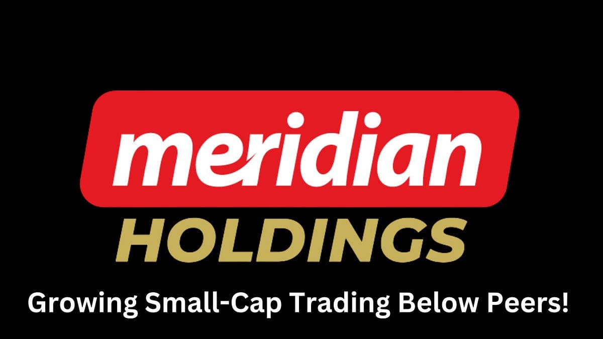 Meridian Holdings Q2 2026: Strong Profits and a New CEO!