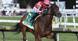 Fan favorite Nitrogen returns to action in G2 Beldame | Belmont Park