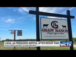 South Ga farmers, ranchers say recent rain offered relief but severe drought impacts persist