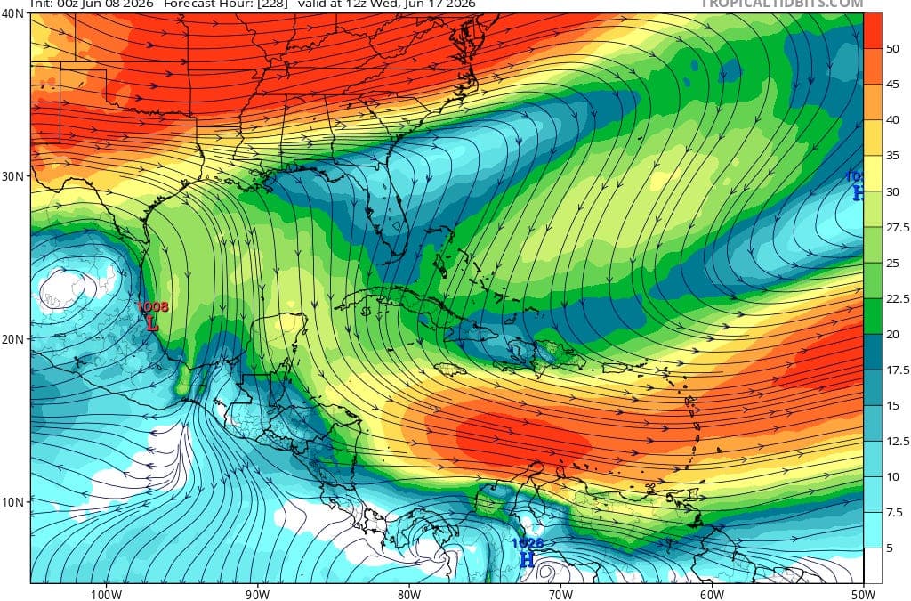 A lot of unsettled weather expected in the Gulf and South but no real organized development expected heading into next week