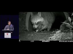 A hopping success – a safe wildlife passage is built in Brookhaven Town and filled with surprises.