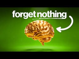 This Mac App Gave Me Perfect Memory on Autopilot