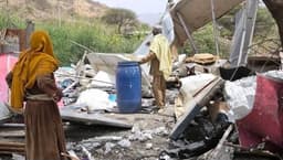 Urgent Call for the UN to Formally Recognize and Declare ...