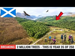 Scotland Started a 250-Year Plan to Rebuild a Forest — 35 Years In, Even the Golden Eagles Came Back