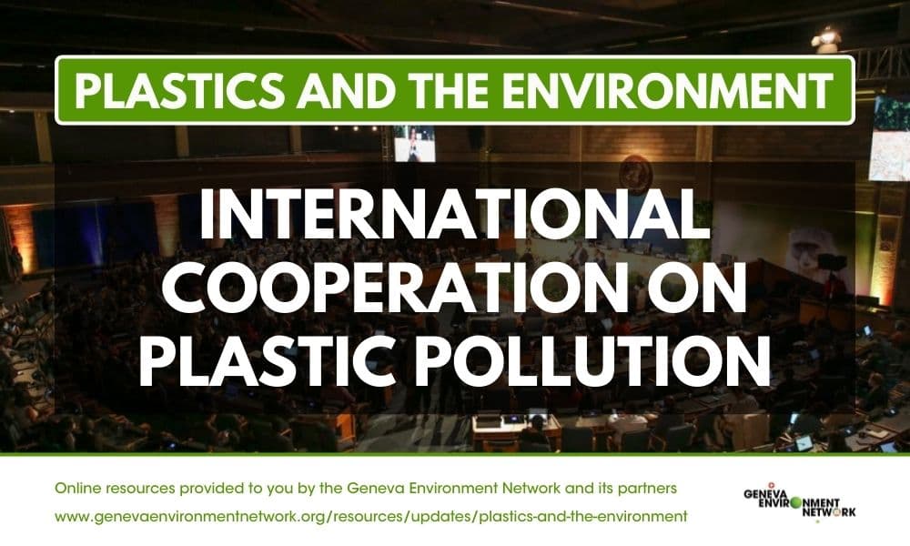 International Cooperation on Plastic Pollution
