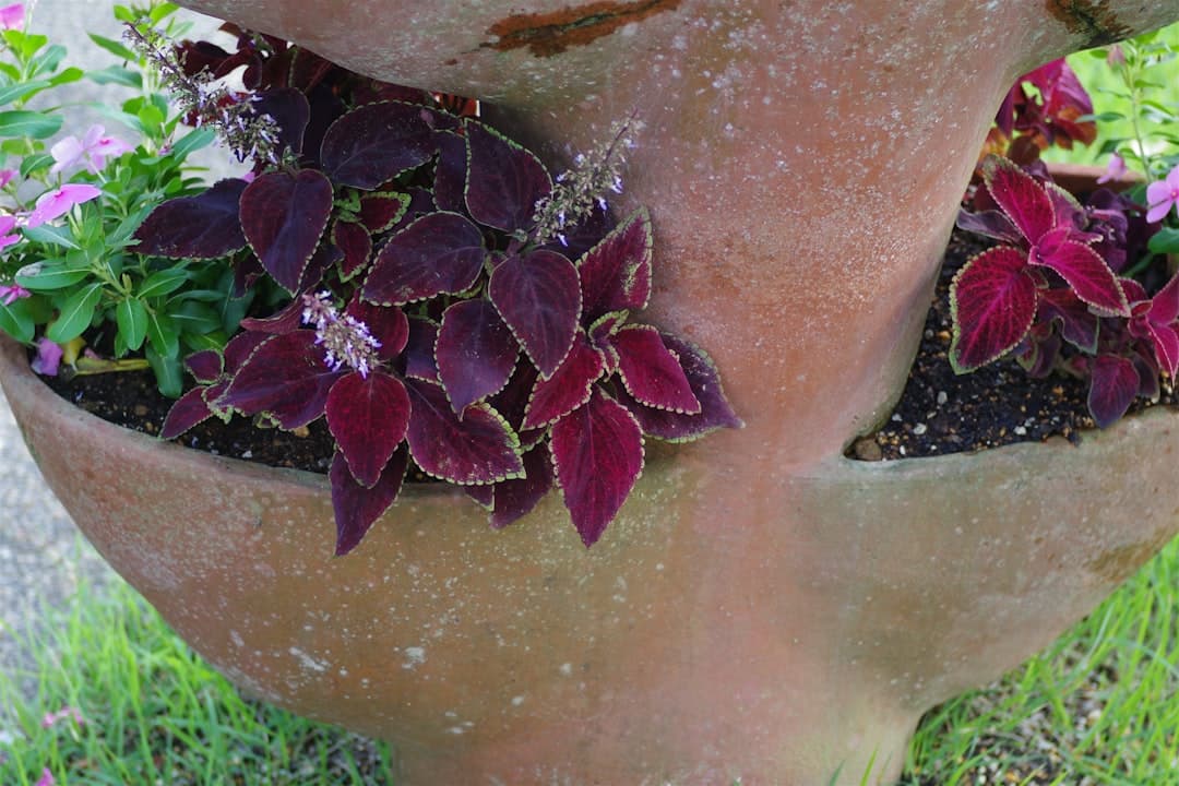 DIY Self-Watering Planter from Two 5-Gallon Buckets
