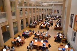 Guidance for Undocumented Students in Illinois Navigating ...