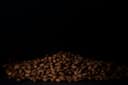 Coffee Bean Of The Future: Liberica? | by Sandra Hiroi | Rooted | Jan, 2026 | Medium