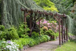 11 Beginner-Friendly Garden Layout Ideas That Help You Grow a More Manageable Garden