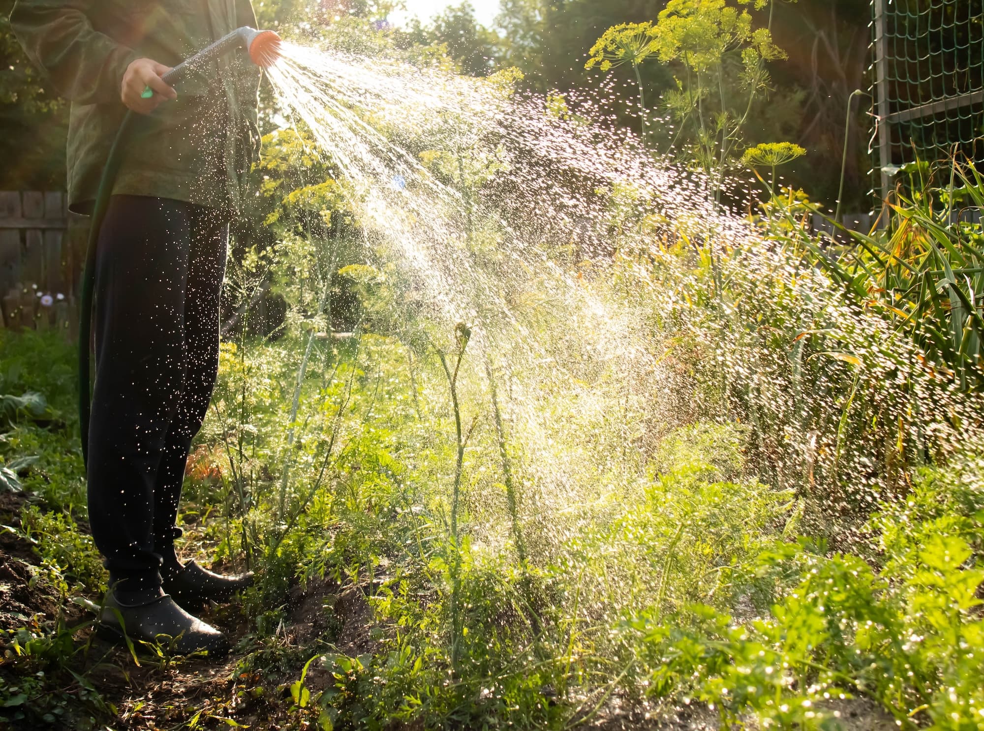 Climate change could double household water costs in ...
