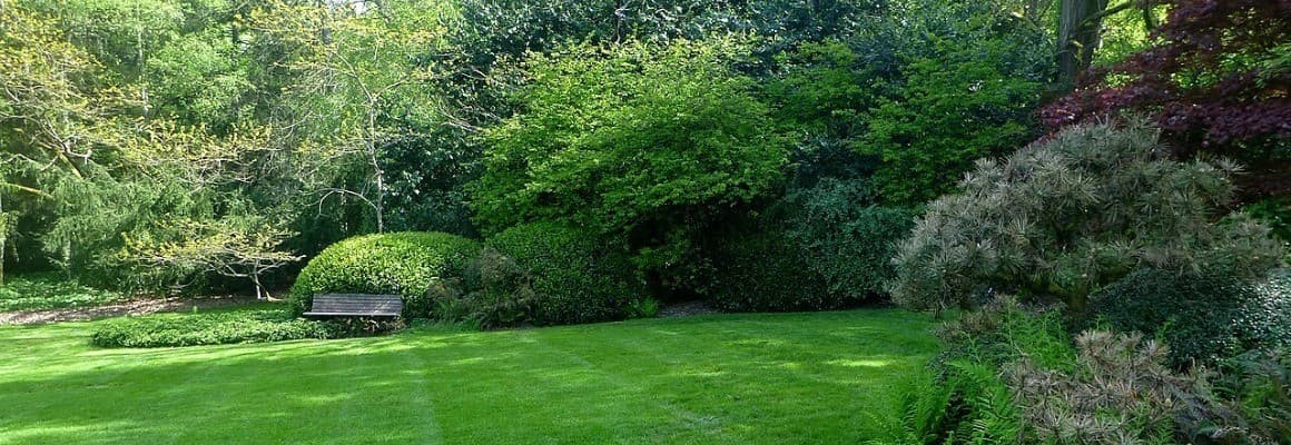 Kubota Garden, USA - photos, description, map, how to get there