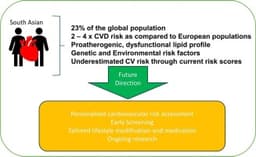 Review Dyslipidaemia and cardiovascular risk – Key ...