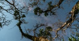 Ecuador creates new Amazonian corridor: Yasuní ...