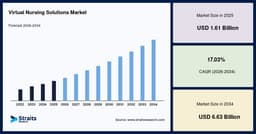 Virtual Nursing Solutions Market Size, Share, Growth, 2034