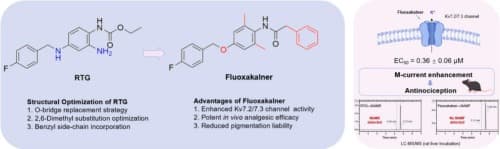 Discovery of fluoxakalner, a novel and preferential Kv7.2/ ...