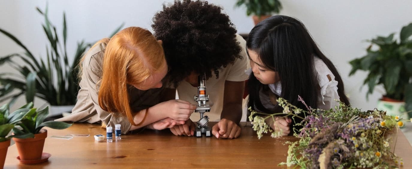 How Mosquito Control Districts are Advancing Youth Education ...
