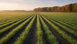 Fall Seeding Guide: When to Plant in Fall