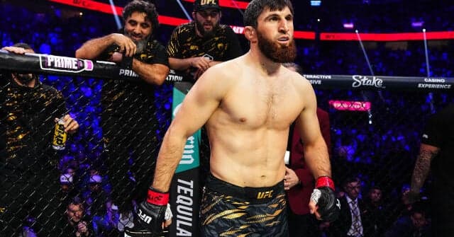UFC Fight Night Fighter Profile: Magomed Ankalaev | HQ UFC