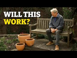 Grow Stunning Summer Flowers in Pots with These Bulbs!