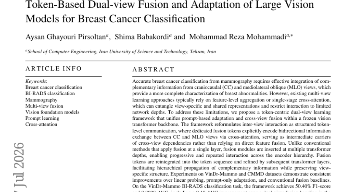 Token-Based Dual-view Fusion and Adaptation of Large Vision Models for Breast Cancer Classification