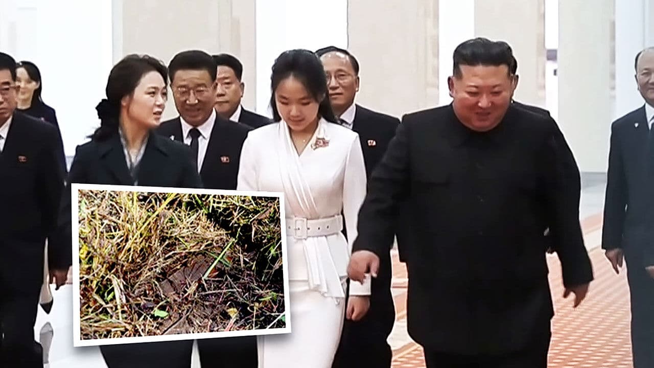 North Korea Silent on Landmine Blast to Domestic Audience