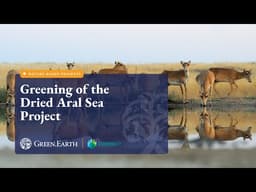Lake Aral afforestation: greening the desert