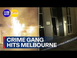 International crime gang hits Melbourne nightspots | 9 News Australia