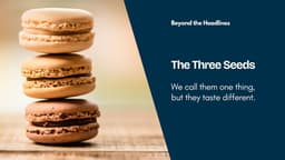 The Three Seeds - by Rohit Yadav - All Things VC