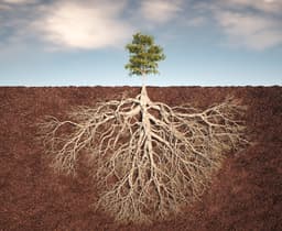 Buy These 2 Dividends For Built-To-Last Income | Seeking Alpha