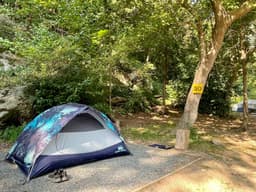 Camping in Virginia: A Guide to the Best Campsites