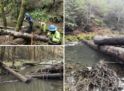 Restoring Resilience: Reviving Rivers with In-stream ...