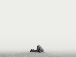 Meta: 3 Questions The Bulls Are Avoiding (Rating Downgrade) (NASDAQ:META) | Seeking Alpha