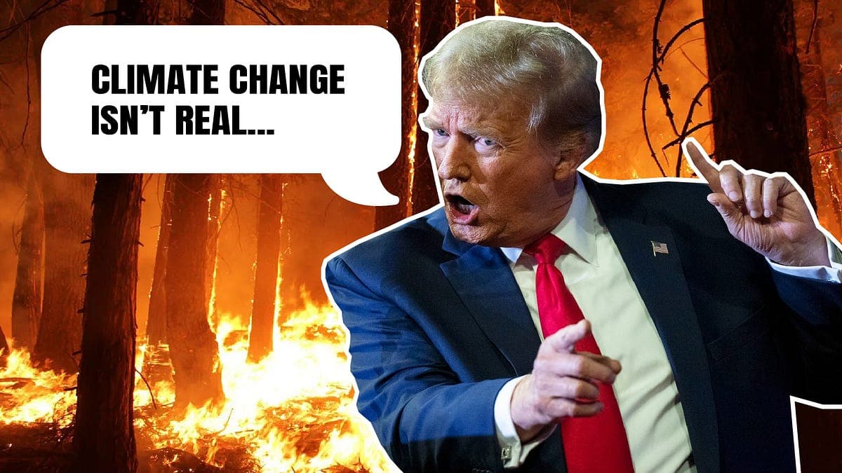 As America Bakes Under Extreme Heat, Court Filing Says Trump Targeted $7.6 Billion in Clean Energy Grants