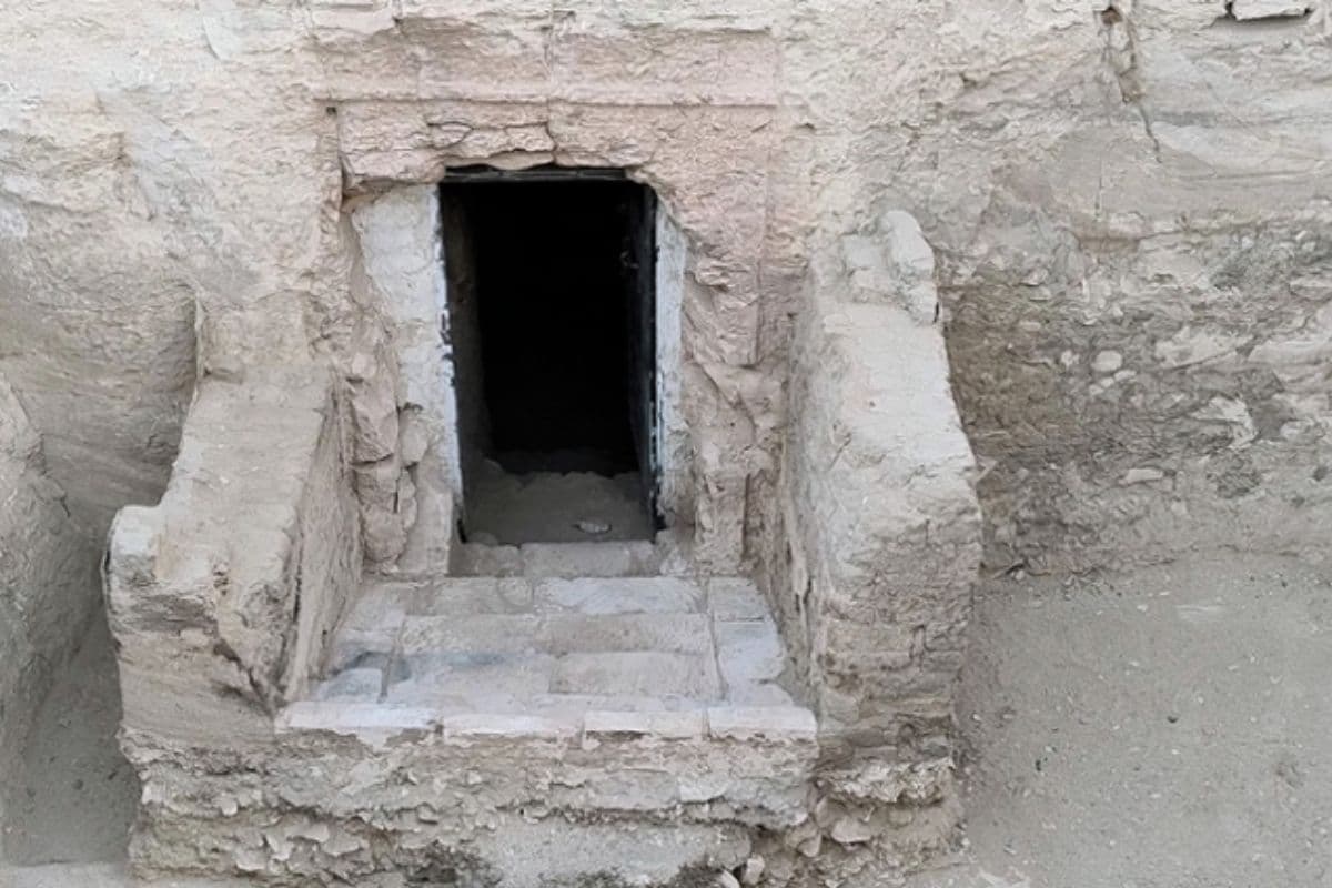 This Luxor Necropolis Just Gave Up a Tomb No Record ...