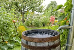 Rain Barrels, Rain Gardens for your Portland Home