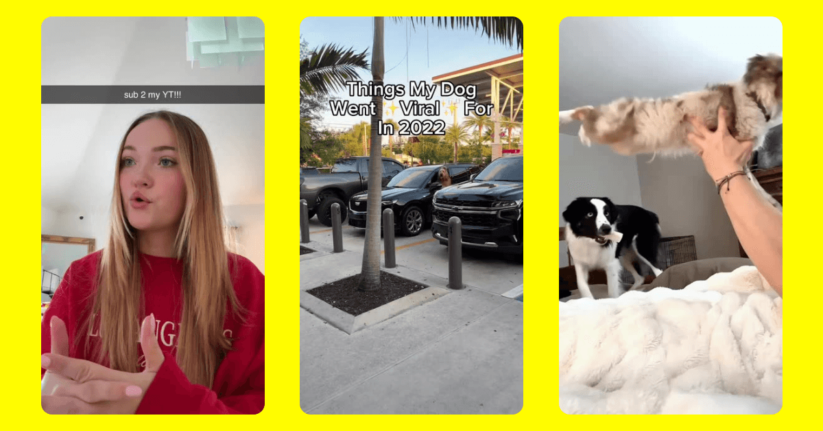 Viral Dog Videos on Snapchat