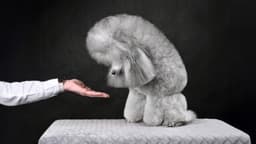 Harvard Business Review - Ideas and Advice for Leaders