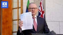 Federal politics live: Albanese to address the nation on government response to Middle East war - ABC News
