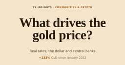 What Drives the Gold Price? Real Rates vs Central Banks