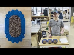 Spring Blend 2026 Edition (Medium Roast)