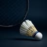 Elite Badminton Racket Review