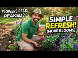 This simple flower bed refresh keeps blooms going all season