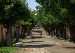US lifts Eritrea sanctions imposed over Ethiopian war to advance ...