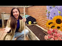 Chaos Gardening! Direct Sowing Seeds Early To See What Happens🌻 