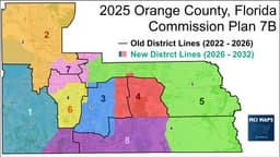 Issue #291: The dynamics of Race and Local Redistricting in ...
