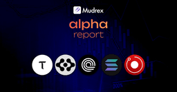 Is Altseason Coming in 2026? Here's What the Data Says - Mudrex Learn