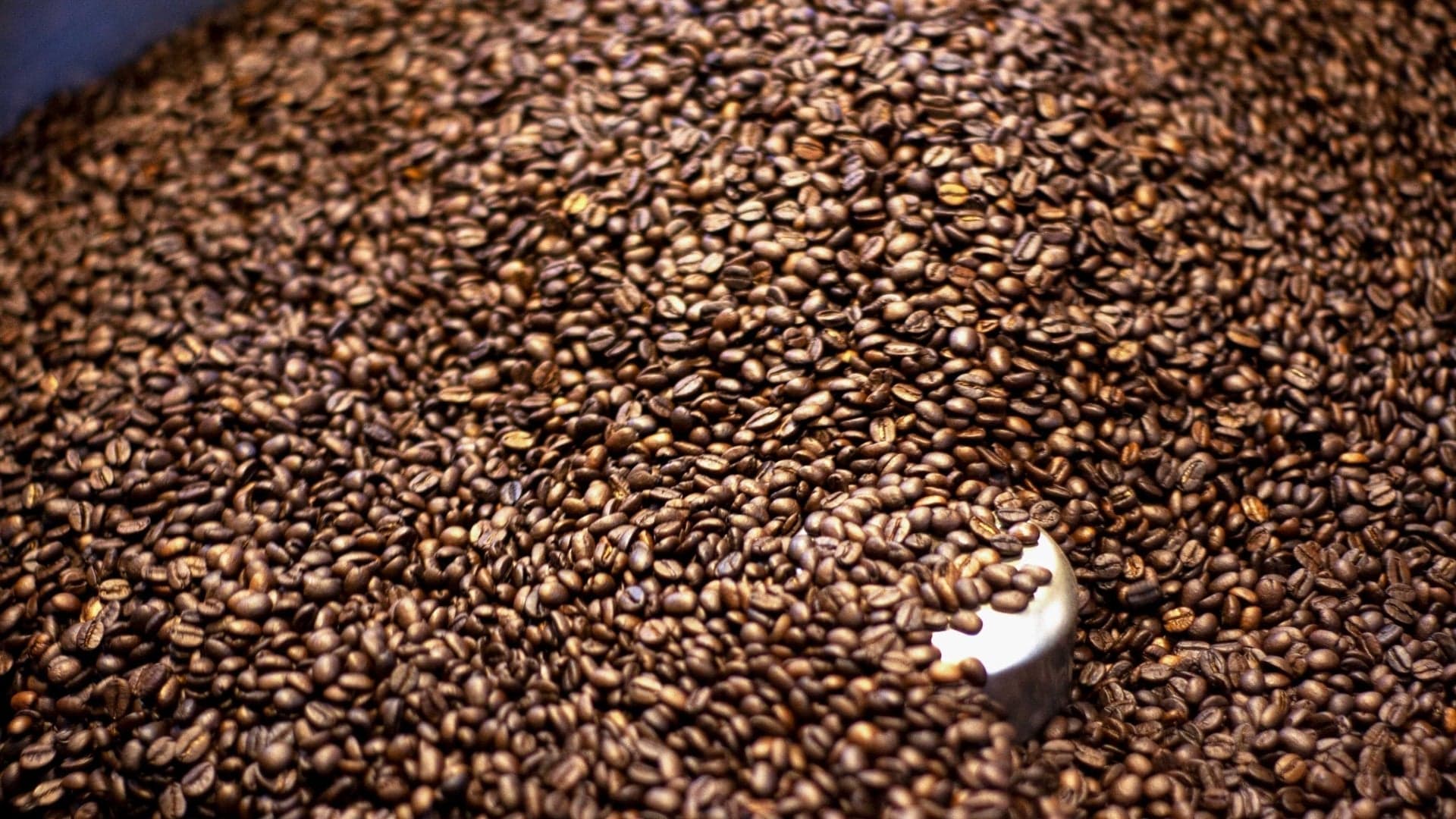 10 current trends in the world of coffee: what's new in 2026?