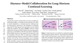 Harness-Model Collaboration for Long-Horizon Continual Learning