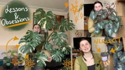 My house plant lessons and obsessions 🪴| My planty favourites for spring (and a couple fails)