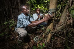 From data collectors to knowledge holders: How conservation ...